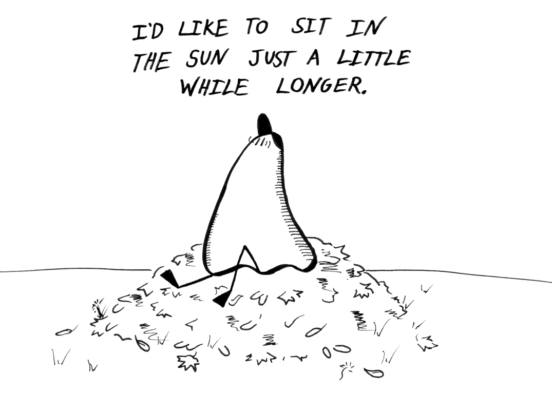 2025-10-15_sit-in-the-sun.png