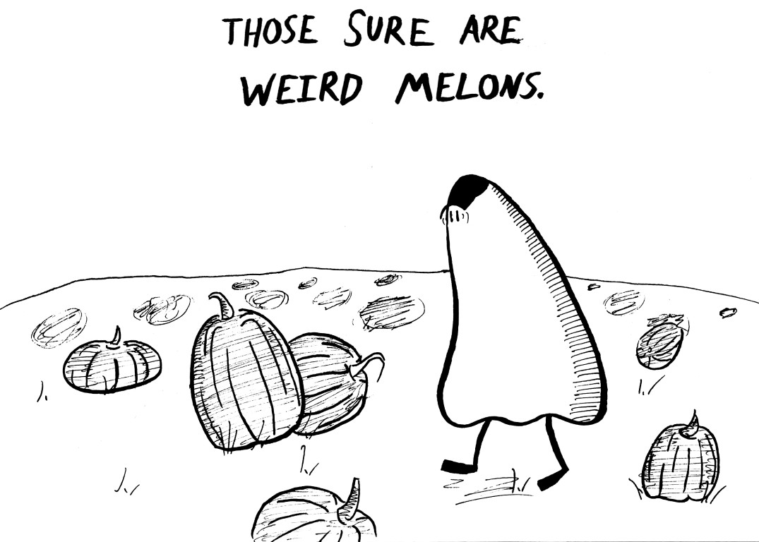 weird melons.jpg