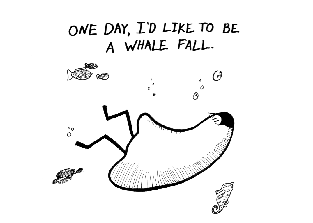 whale fall.png